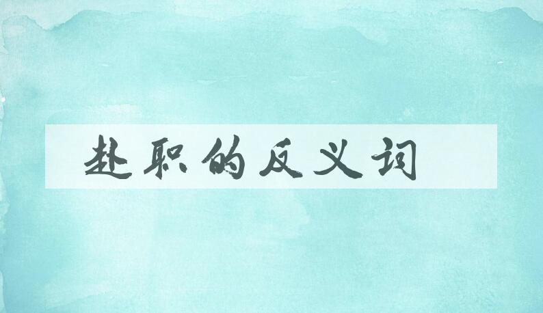 用赴职造句