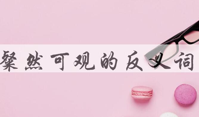 用粲然可观造句