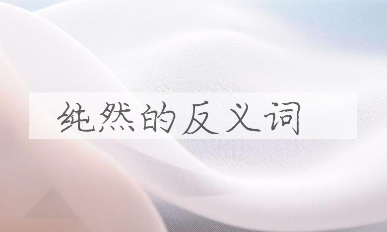 用纯然造句