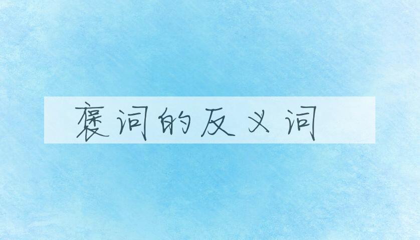 用褒词造句