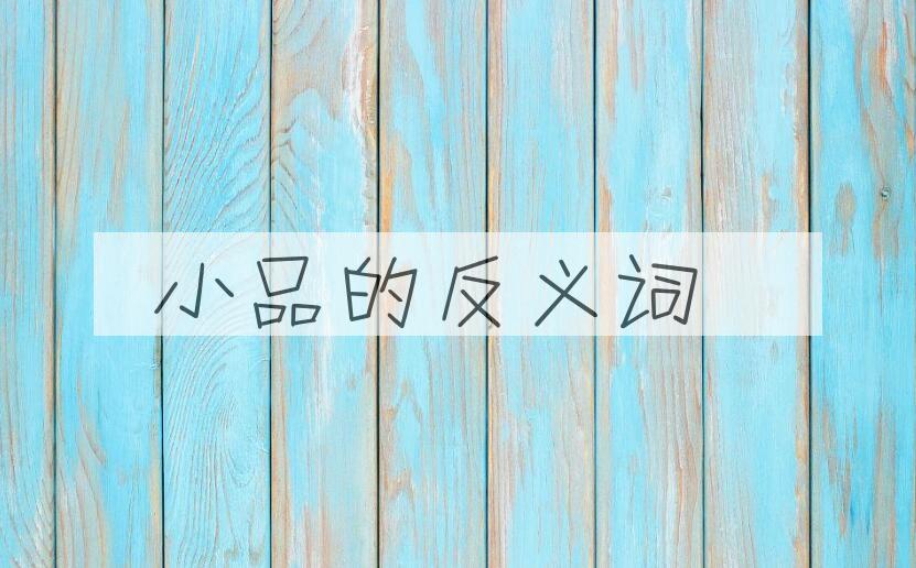 用小品造句