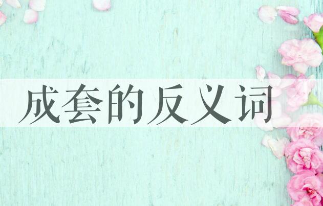 用成套造句