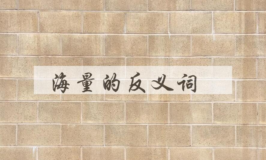 用海量造句