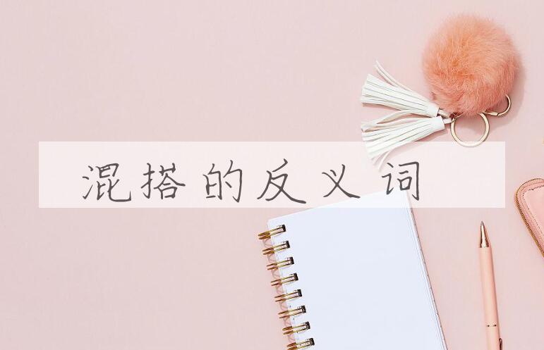 用混搭造句