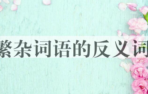用繁杂词语造句