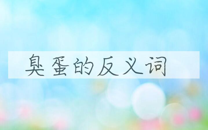 用臭蛋造句
