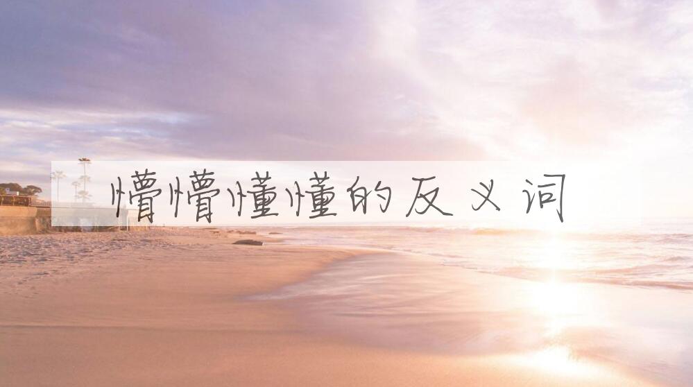 用懵懵懂懂造句