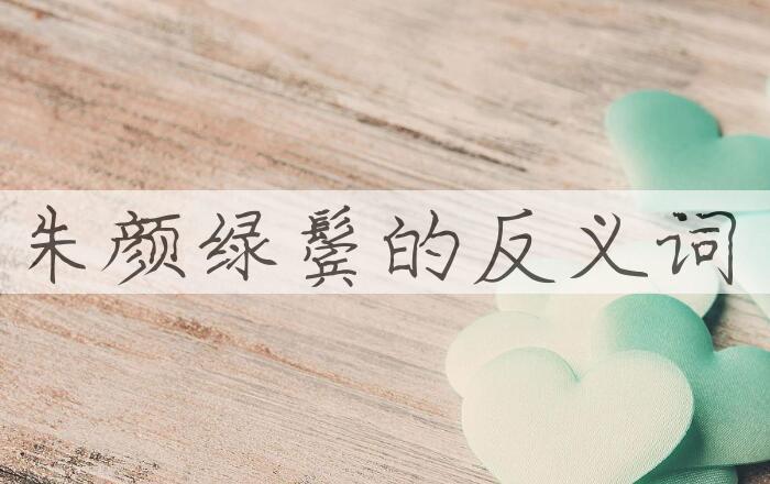 用朱颜绿鬓造句