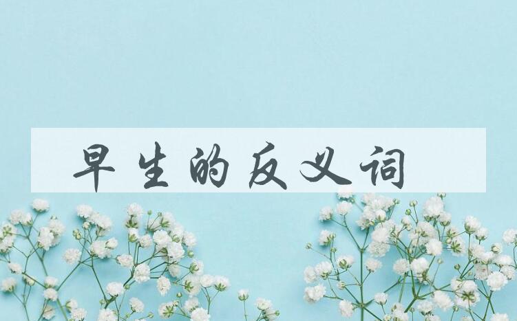 用早生造句