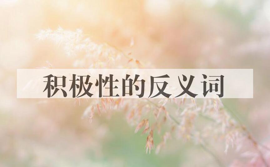 用积极性造句