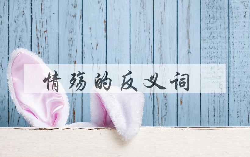 用情殇造句