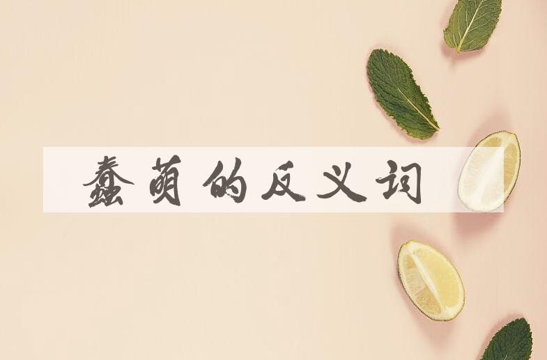 用蠢萌造句
