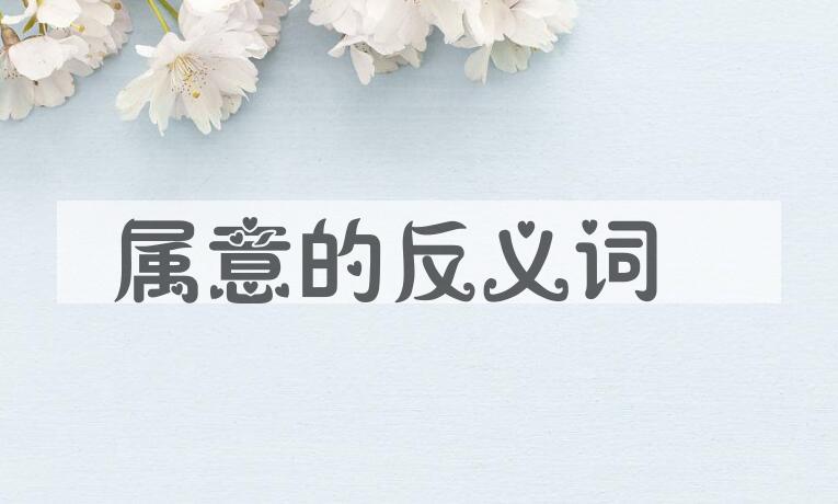 用属意造句