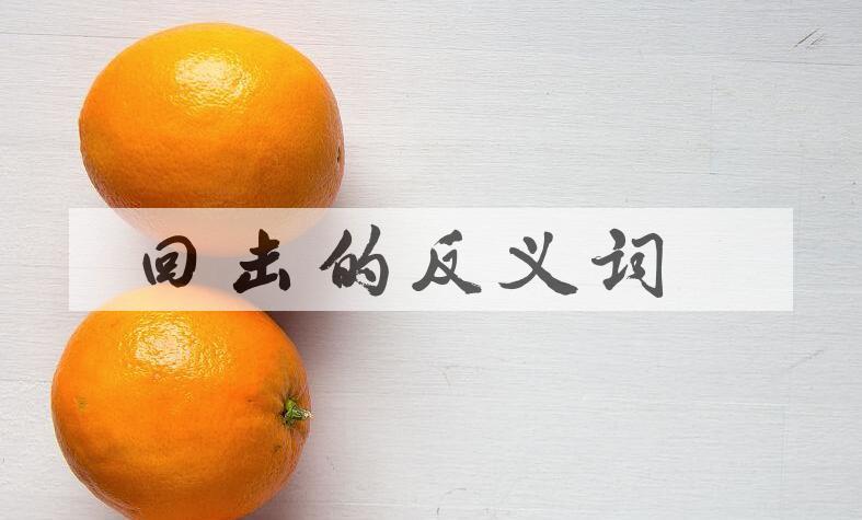 用回击造句