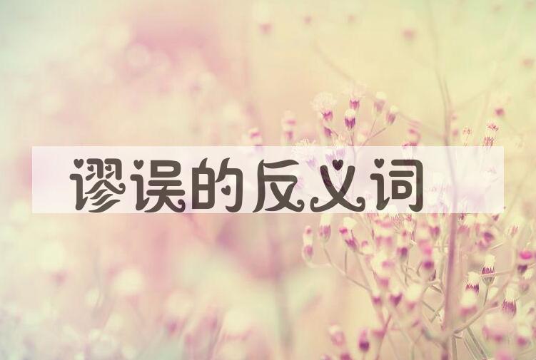 用谬误造句