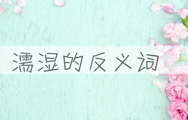 用濡湿造句