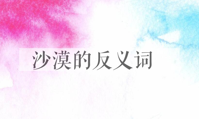 用沙漠造句