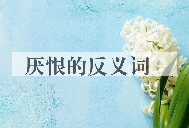 用厌恨造句