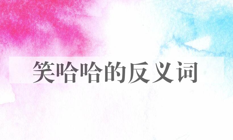 用笑哈哈造句