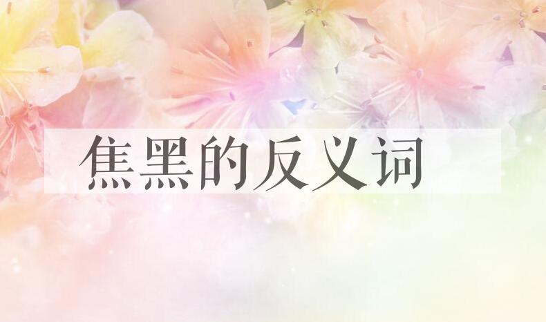 用焦黑造句