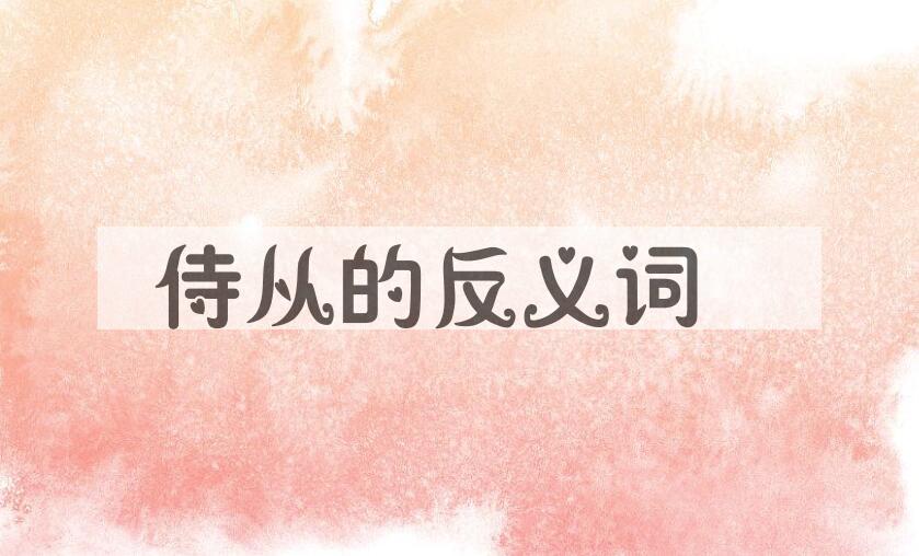 用侍从造句