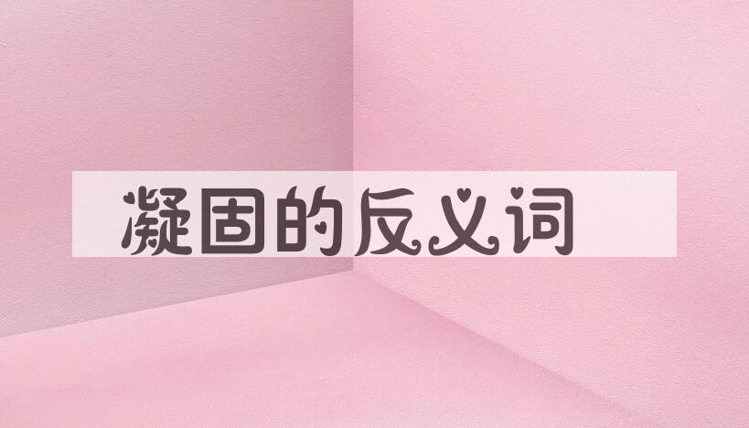 用凝固造句