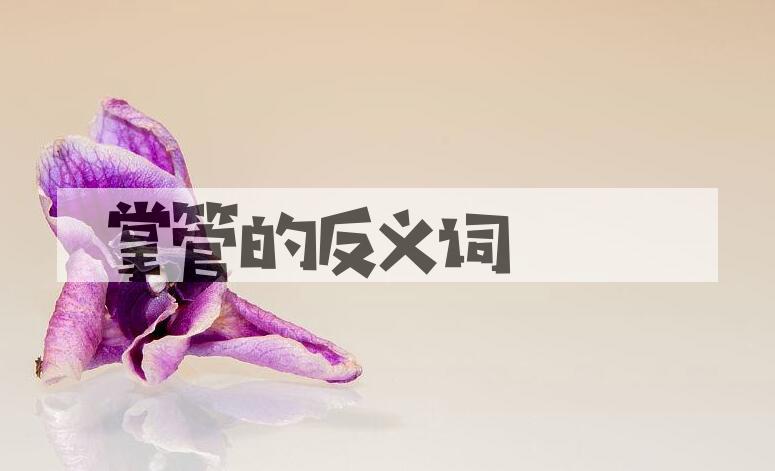 用掌管造句