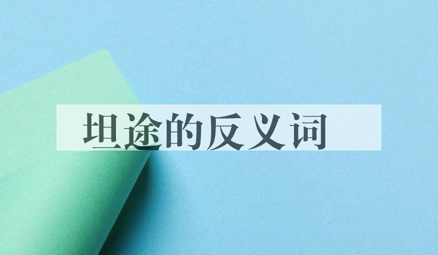 用坦途造句