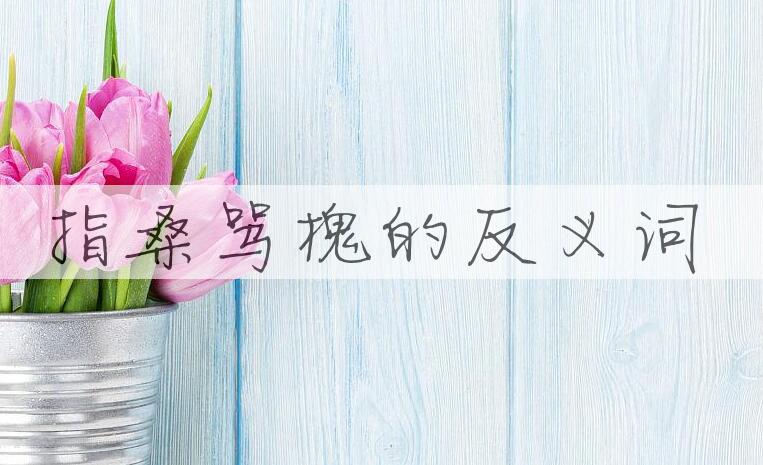 用指桑骂槐造句
