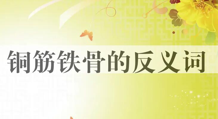 用铜筋铁骨造句