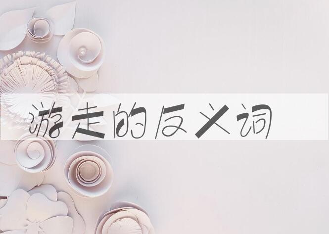 用游走造句