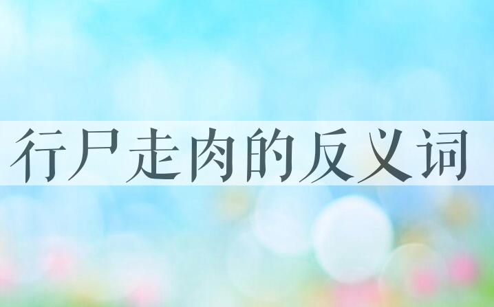 用行尸走肉造句