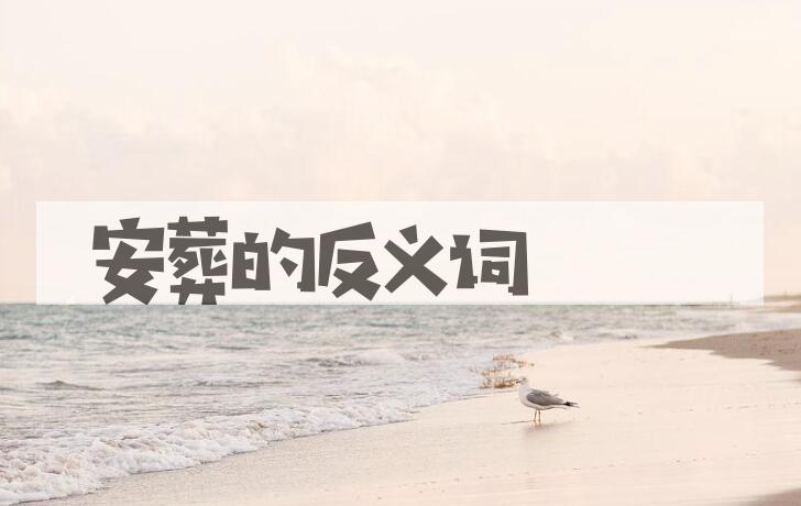 用安葬造句