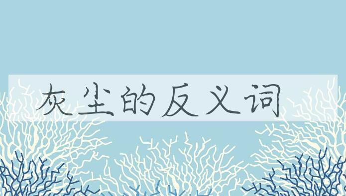 用灰尘造句