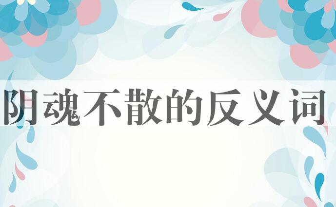 用阴魂不散造句