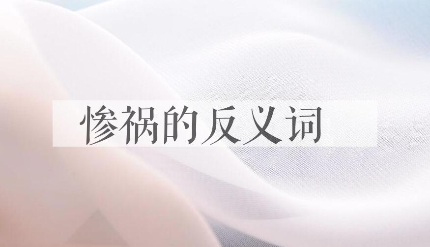 用惨祸造句