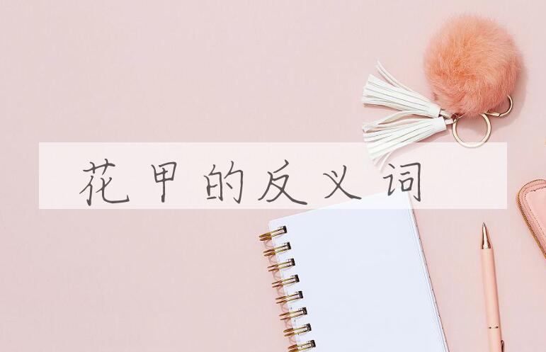 用花甲造句