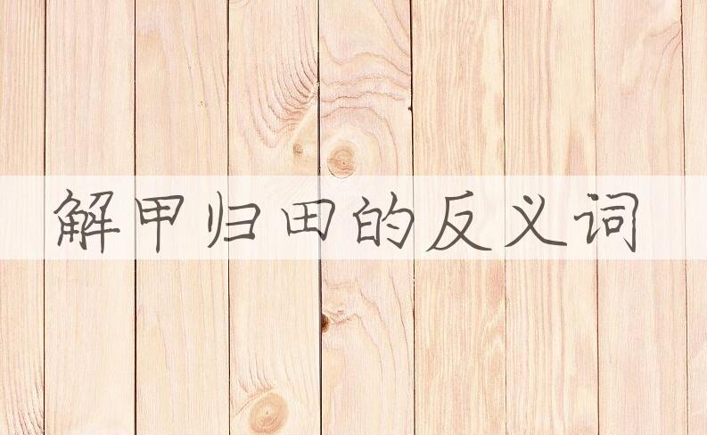 用解甲归田造句