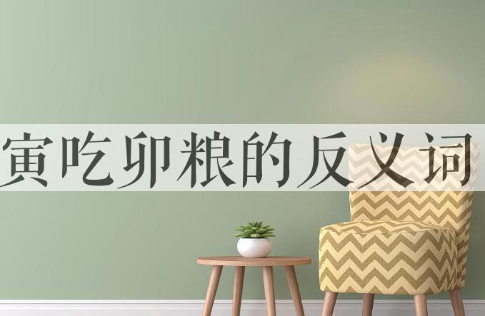 用寅吃卯粮造句