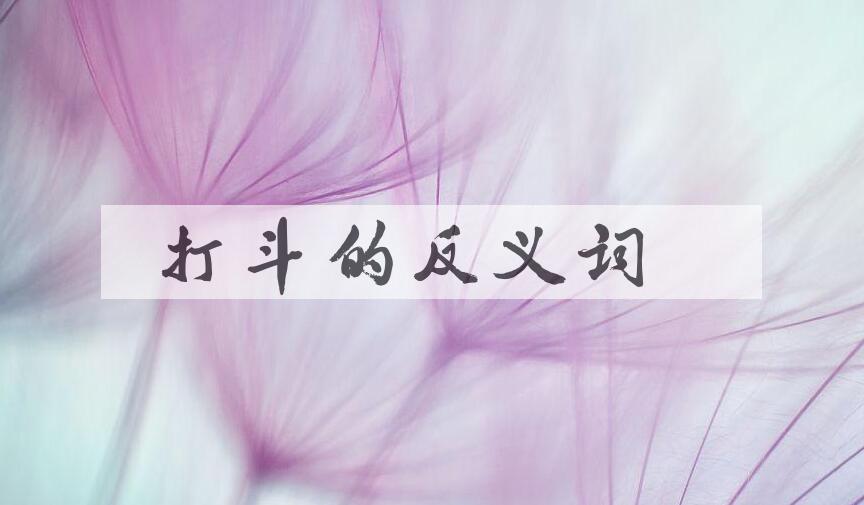 用打斗造句