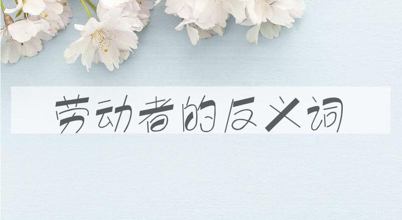 用劳动者造句