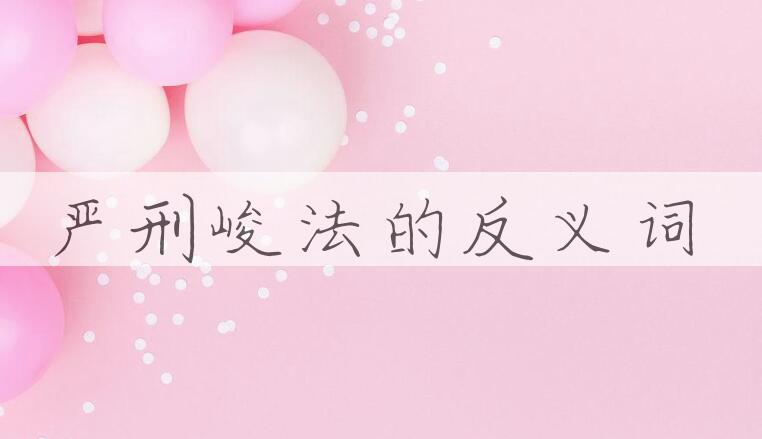 用严刑峻法造句