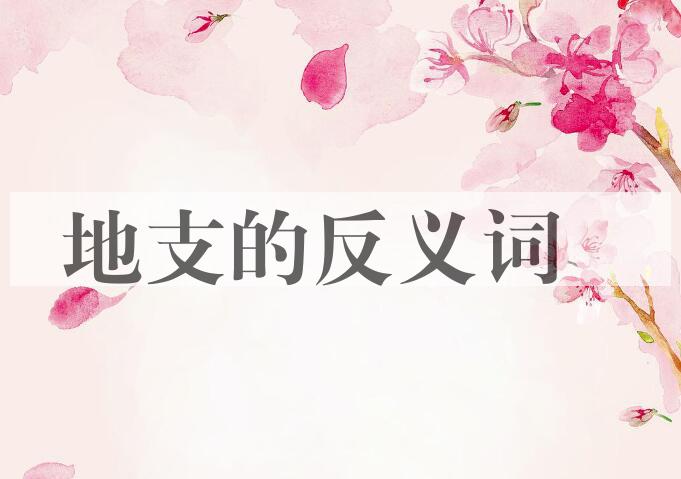 用地支造句
