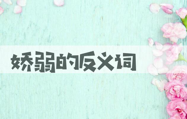 用娇弱造句