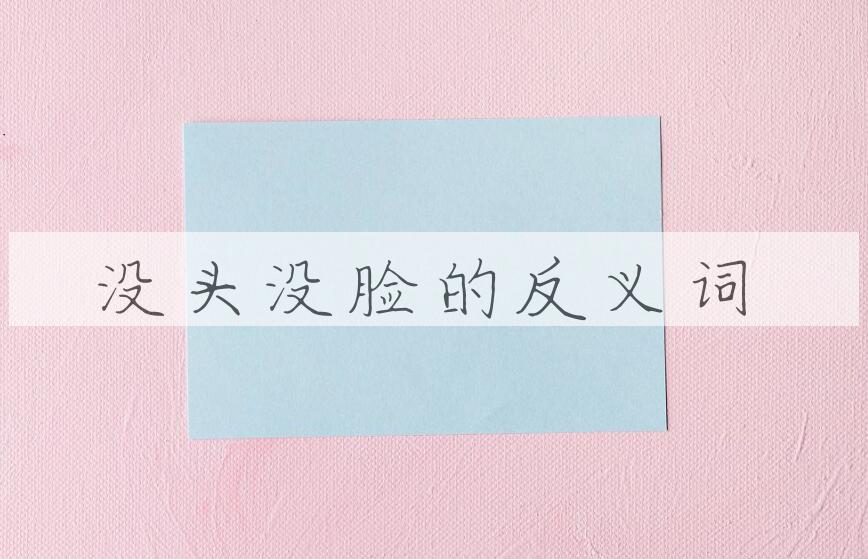 用没头没脸造句
