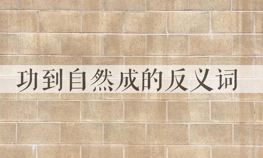 用功到自然成造句