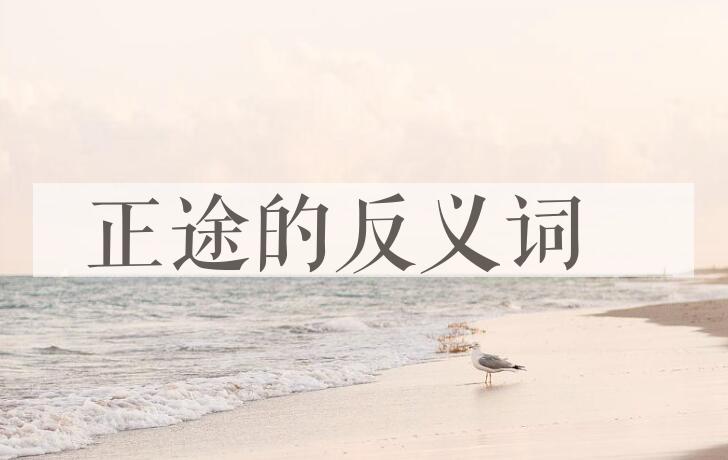用正途造句