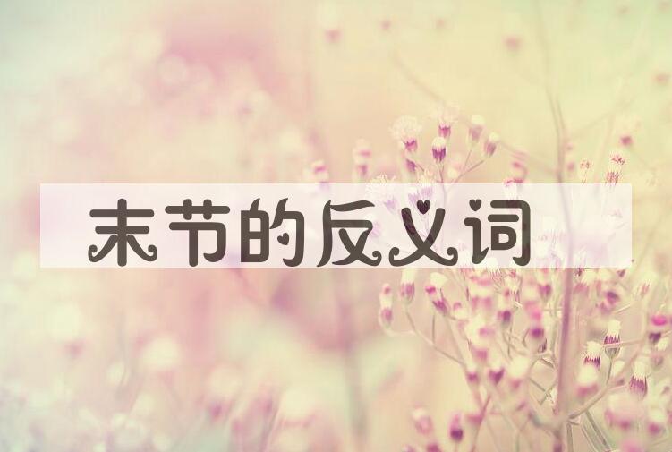 用末节造句