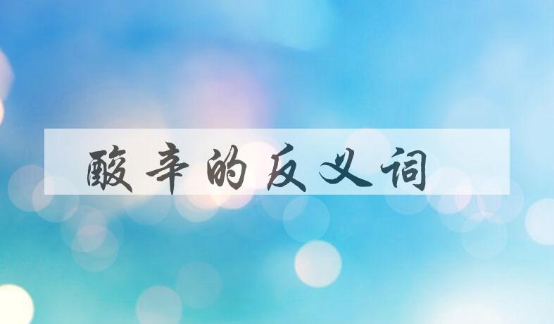 用酸辛造句