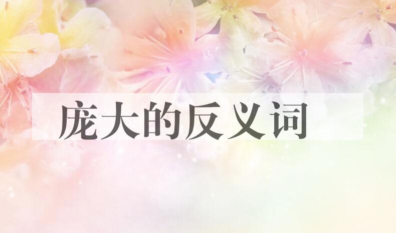 用庞大造句